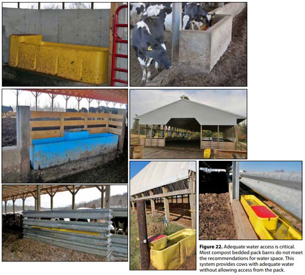 Compost Bedded Pack Barn Design Features And Management