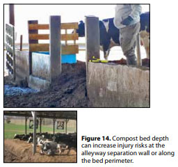 Compost Bedded Pack Barn Design. Features and Management Considerations ...