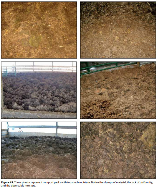 Compost Bedded Pack Barn Design. Features and Management Considerations ...