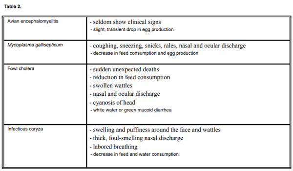 Factors Affecting Egg Production In Backyard Chicken Flocks Engormix 