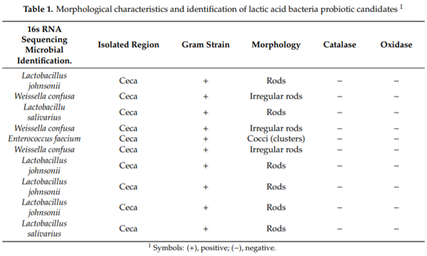 Isolation and Identification of Lactic Acid Bacteria Probiotic Culture ...