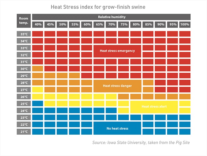 The power of yeast probiotics to combat heat stress in pigs - Engormix