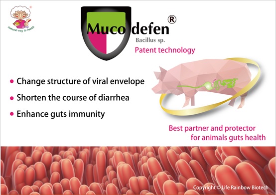 Porcine epidemic diarrhea problem solver - Muco-defen | Engormix