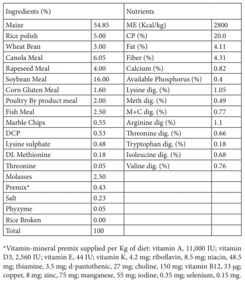 Carcass traits, meat quality, and sensory attributes of fast-growing ...