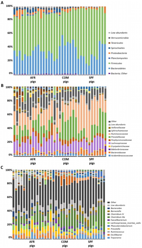 Comparative Analysis Of The Fecal Microbiota From Different Species Of Domesticated And Wild ...