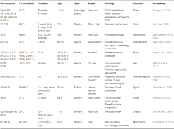 Vitamins to alleviate stressors in poultry farms | Engormix