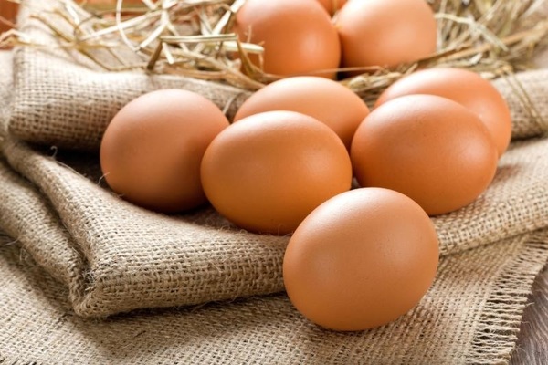 Requisitos Nutricionales Clave Ponedoras