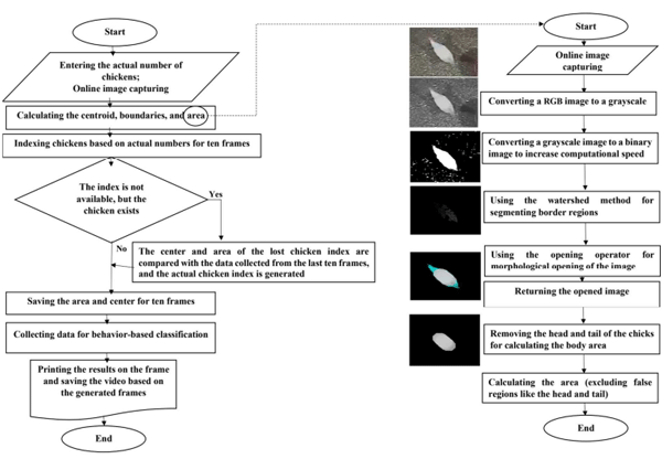 Chicktrack Computer Vision Code Optimizing Deep Learning Algorithms for Effective Chicken Tracking ...