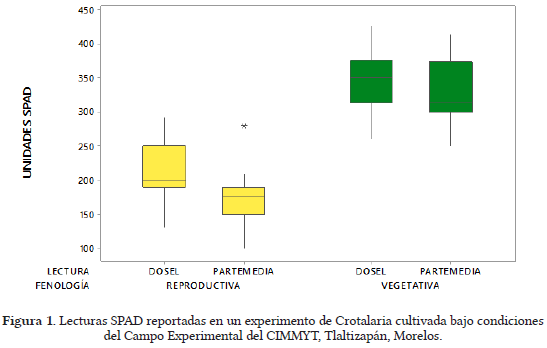 Gráfico de cajas comparando lecturas SPAD en Crotalaria según fenología.
