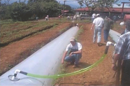 Prevención Coccidiosis Terneros con Azufre