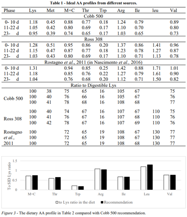 Ideal Amino Acid Profile and Chicken Gut Disturbance A Review Engormix