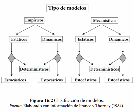 Uso de modelos de simulación en corrales de engorda - Engormix