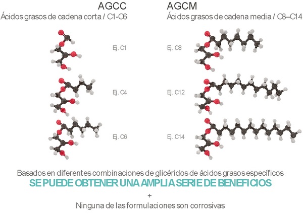 ¿Por qué es importante la salud intestinal en los animales? - Image 3