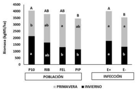 Endófitos en raigrás: clave para adaptabilidad de pasturas