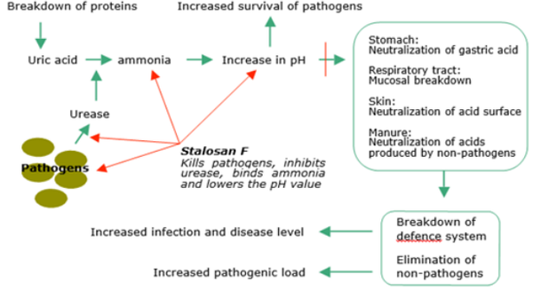 ammonia treatment in textile processing What is pretreatment | objective of pretreatment | pretreatment process in textile pretreatment are after treatment agro textile automation azoic dye. ammonia treatment in textile processing What is pretreatment | objective of pretreatment | pretreatment process in textile pretreatment are after treatment agro textile automation azoic dye.