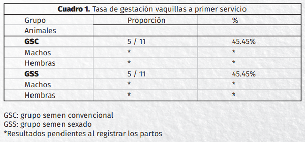 Eficiencia de IA en vacas de carne extensivas