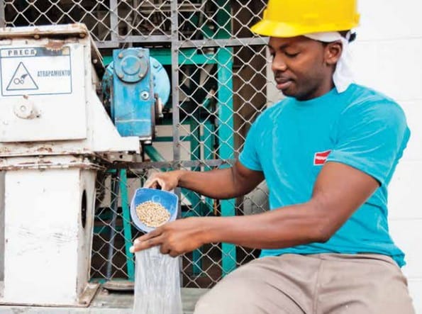 Soya desactivada es ideal para la alimentación | Engormix