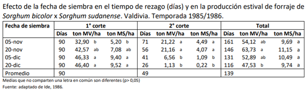 Optimización del rendimiento y calidad del sorgo forrajero