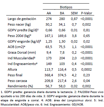 Cruzamiento Brangus-Angus: Impacto en el desempeño productivo