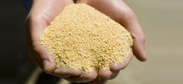 Variabilidad de la composición química y del valor nutricional de la harina de soja - Image 4