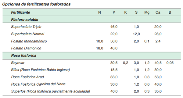 FORRAJERAS - Sowing system - Image 20