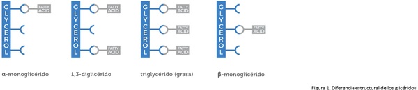 ¿Por qué es importante la salud intestinal en los animales? - Image 2