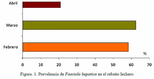 Métodos efectivos para diagnosticar y tratar Fasciola hepatica