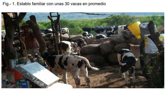 Microorganismos Contagiosos de Mastitis Bovina