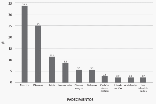Enfermedades comunes en bovinos de carne en Yucatán