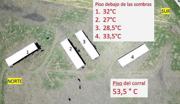 Atenuación del Estrés Calórico en Vacas Lecheras por Ambiente