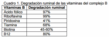 Las Vitaminas B Y Sus Ventajas En El Desempeño Del Ganado De Engorda ...