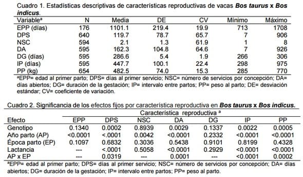 Tablas con datos reproductivos de ganado bovino cruzado.