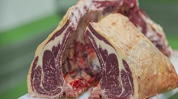 Origen y beneficios de la grasa amarilla en vacunos de pastoreo