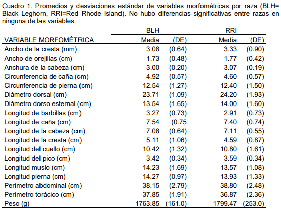 Espacio mínimo de pecoreo en avicultura campera