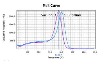Diferenciación qPCR Carne Búfalo vs Bovino
