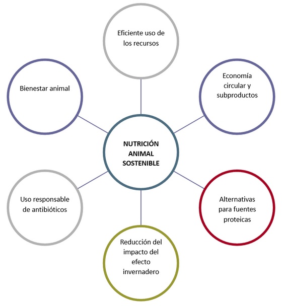 Fibra en dietas: Sostenibilidad y eficiencia nutricional