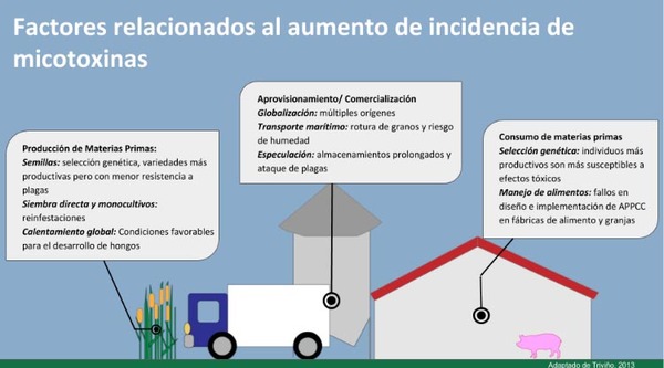 Estrategias para alimento contaminado con micotoxinas en cerdos