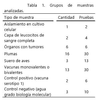 Detección VEM por RT-PCR en folículos de plumas