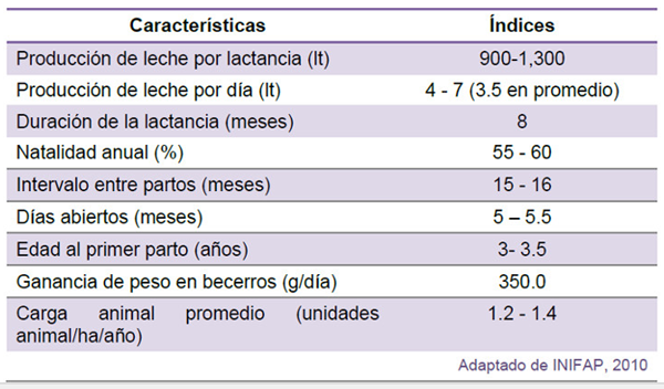Estrategias de suplementación en ganado de doble propósito en el trópico húmedo - Engormix Estrategias de suplementación en ganado de doble propósito en el trópico húmedo - Engormix