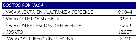 Horario óptimo de inseminación en lechería