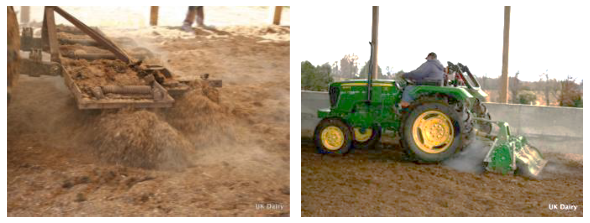 Estabulación de vacas en Compost. (“Bedded-Pack”) - Engormix