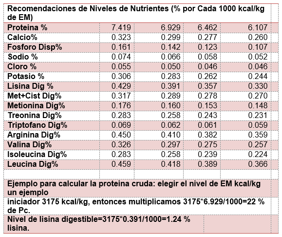 Nutrición de precisión para pollo de engorde de alto desempeño - Engormix