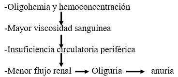 Velocidad de Fluidoterapia Intravenosa en Terneros