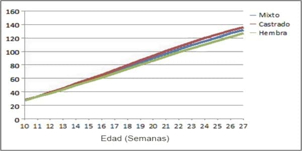 Nutrición De Los Cerdos En Crecimiento Y Finalización 1 Introducción Engormix