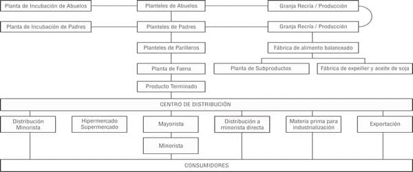 Producción de pollos parrilleros en países sudamericanos y planes  sanitarios nacionales para el control de Salmonella en dichos animales -  Engormix