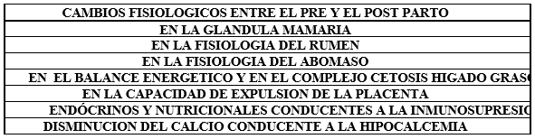 Efectos de Lipidosis Hepática en Vacas Lecheras