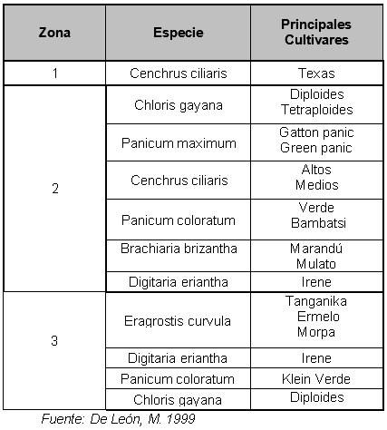 Forrajeras megatérmicas para semiárido argentino