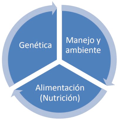 Energía Limitante en Pastos Tropicales para Lechería