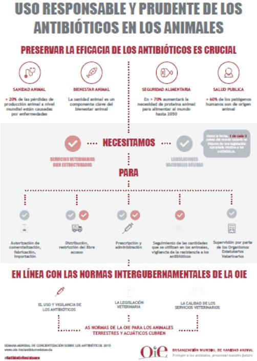Ionóforos para coccidiosis en aves