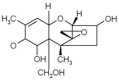 Impacto Económico de Micotoxinas